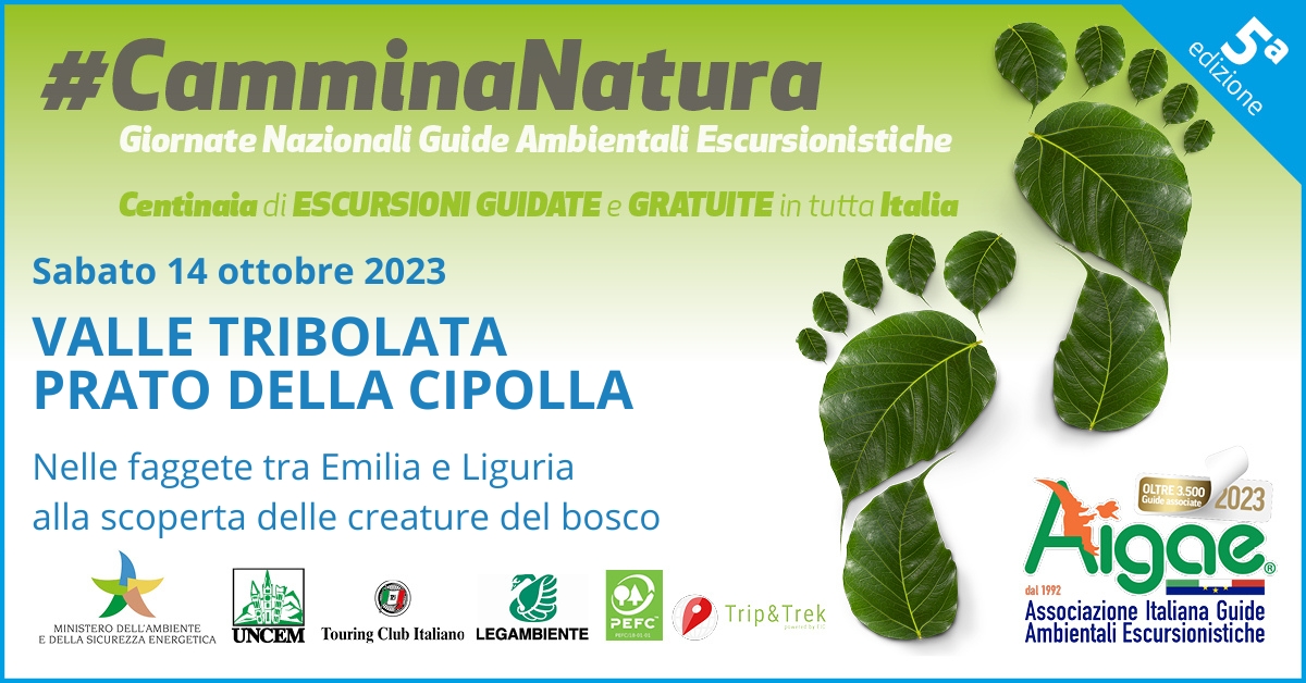 Scopri di più sull'articolo Guide ambientali: ecco la “loro” due giorni nazionale