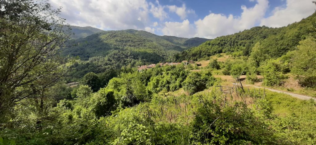 I "Cosmos" e il Cammino dei Ribelli in val Borbera