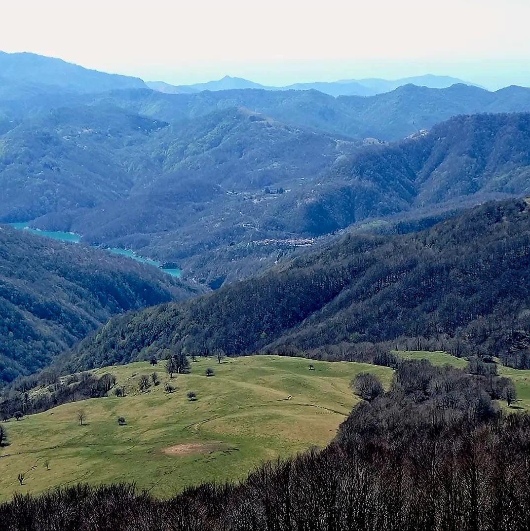 Scopri di più sull'articolo Finisce il lockdown da peste suina, riapre il trekking lungo la Via del Sale