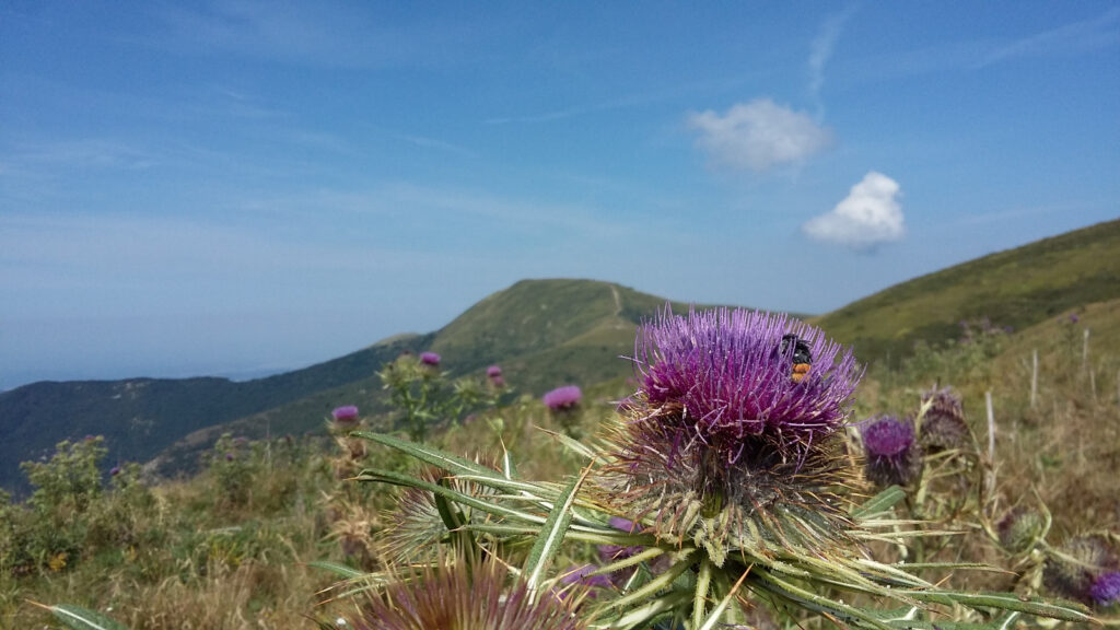 La val Trebbia al centro di 39 escursioni!